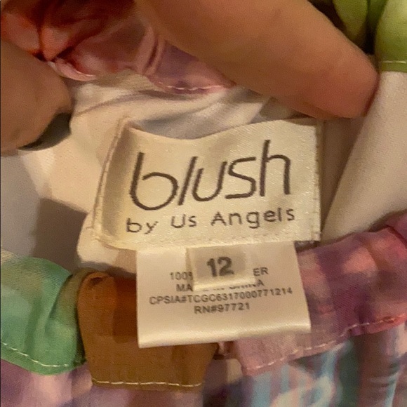 Blush Girl’s Spring Floral Dress size 12 - Picture 3 of 3